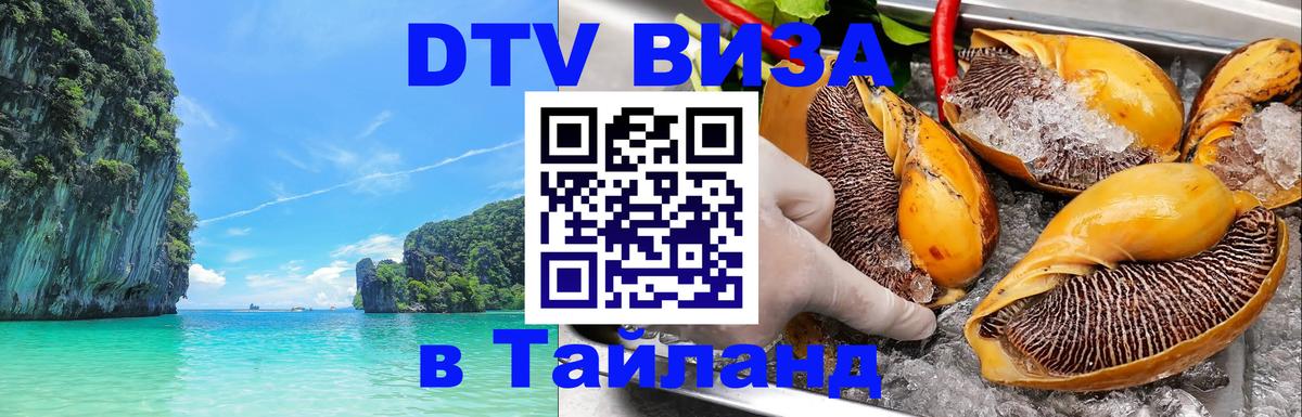 Сколько стоит DTV виза — актуальные цены, оформление даже без документов - 03.10.2025 